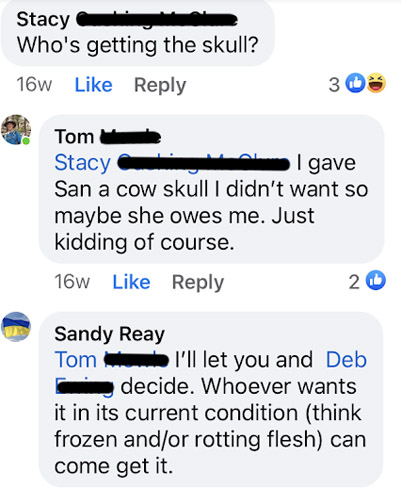 Stacy: Who's getting the skull? Tom: I gave San a cow skull I didn't want so maybe she owes me. Just kidding of course. Me: I'll let you and Deb decide. Whoever wants it in its current condition (think frozen and/or rotting flesh) can come get it.  